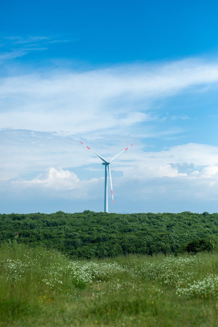 A wind turbine stands tall amidst green fields and a blue summer sky.