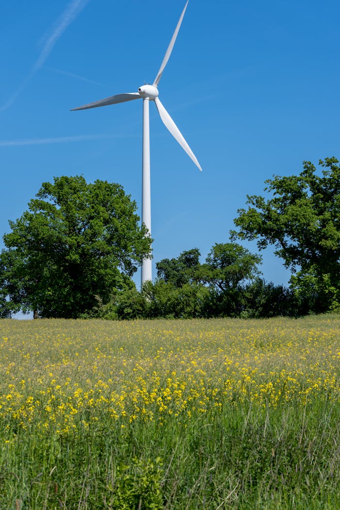 A white wind turbine set against a clear blue sky in a field of yellow flowers and green trees, capturing sustainable energy.